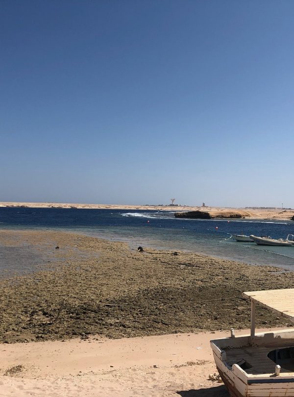 red sea, sharm el naqa, sinai